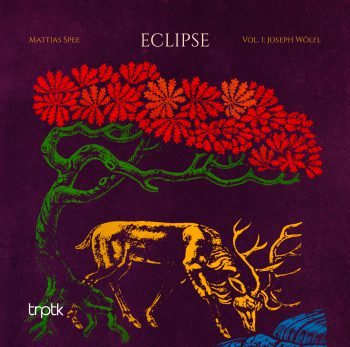 Eclipse, Vol. 1: Joseph Wölfl - Mattias Spee